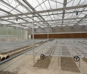 溫室苗床 溫室苗床